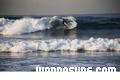 photo de surf