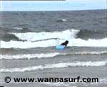 surf photo