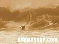 photo de surf