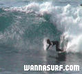 surf photo