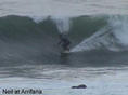photo de surf