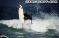 foto de surf