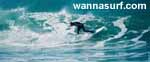 photo de surf