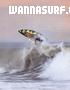 surf photo