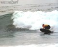 surf photo
