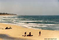 photo de surf