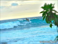 surf photo
