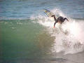 photo de surf